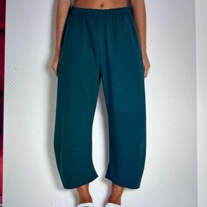 Roucha Penn Canvas pant in Teal Size CC EUC